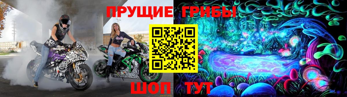 Псилоцибиновые грибы Psilocybine cubensis  Вход с VPN  Белая Калитва 