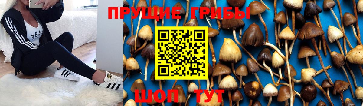 Псилоцибиновые грибы ЛСД Белая Калитва